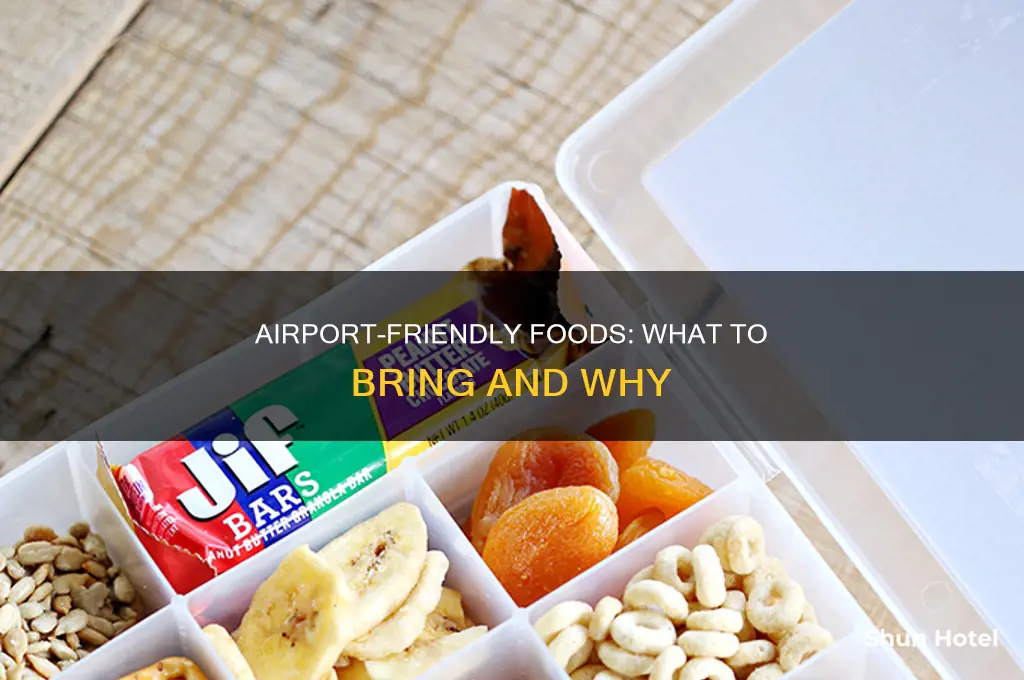 what food can bring airport