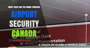 Travel-Friendly Foods to Carry Through Airport Security in Canada