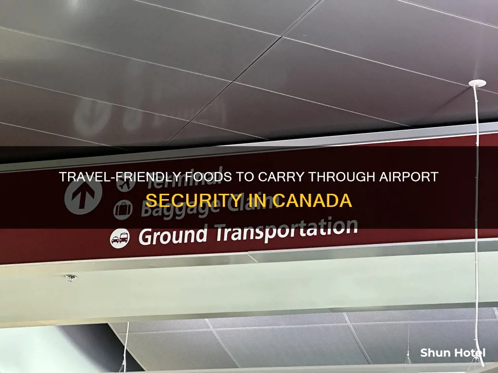 what food can you bring through airport security canada