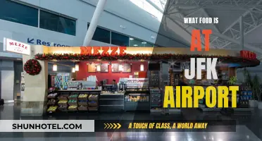 JFK Airport: A Food Paradise for Travelers