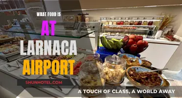 Larnaca Airport: A Foodie's Guide to Delicious Cypriot Flavors