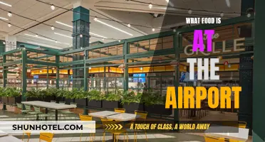 Travelers' Treats: Exploring Airport Food Delights