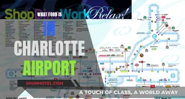 Charlotte Airport's Best Food Options