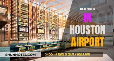 Houston Airport's Best Food Destinations
