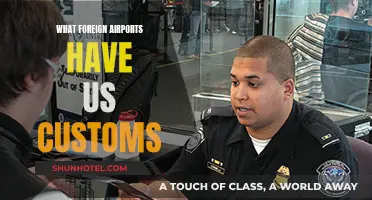Foreign Airports with US Customs: A Traveler's Guide