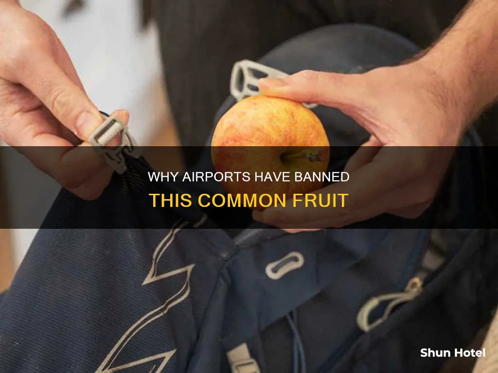 what fruit is banned in airports