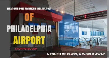 American Eagle's Philadelphia Airport Gate: A Comprehensive Guide