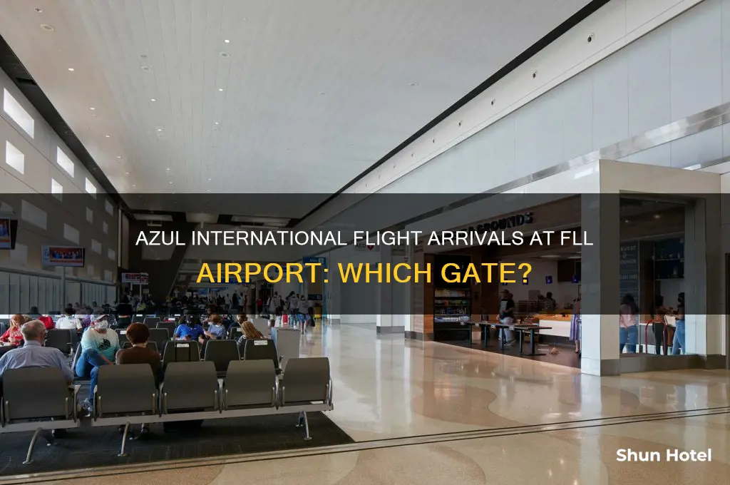 what gate does azul international flight arrivals at fll airport