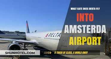 Delta's Arrival Gate at Amsterdam Airport: A Comprehensive Guide