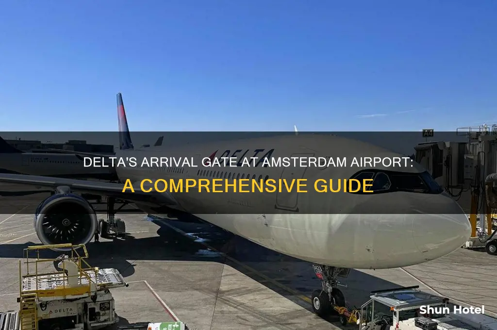 what gate does dekta fly into amsterdam airport