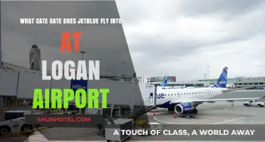 JetBlue's Arrival Gate at Boston Logan Airport: A Quick Guide