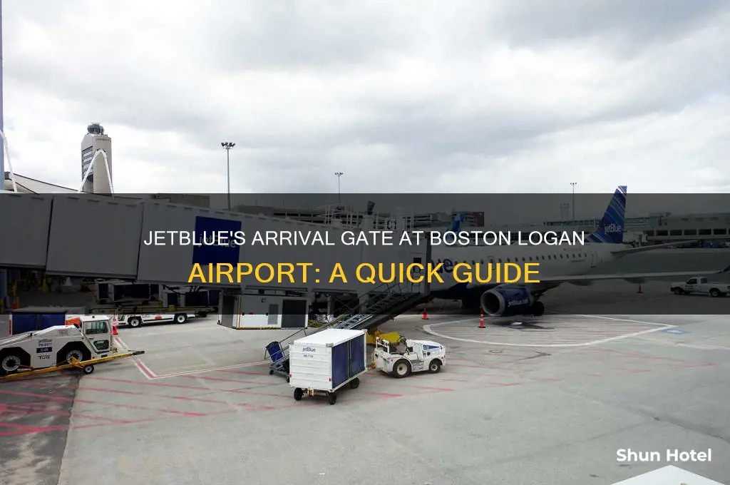 what gate gate does jetblue fly into at logan airport