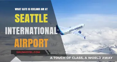 Iceland Air's Gate Location at Seattle International Airport Revealed