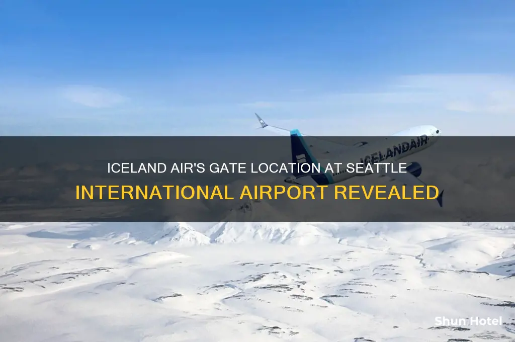what gate is iceland air at seattle international airport