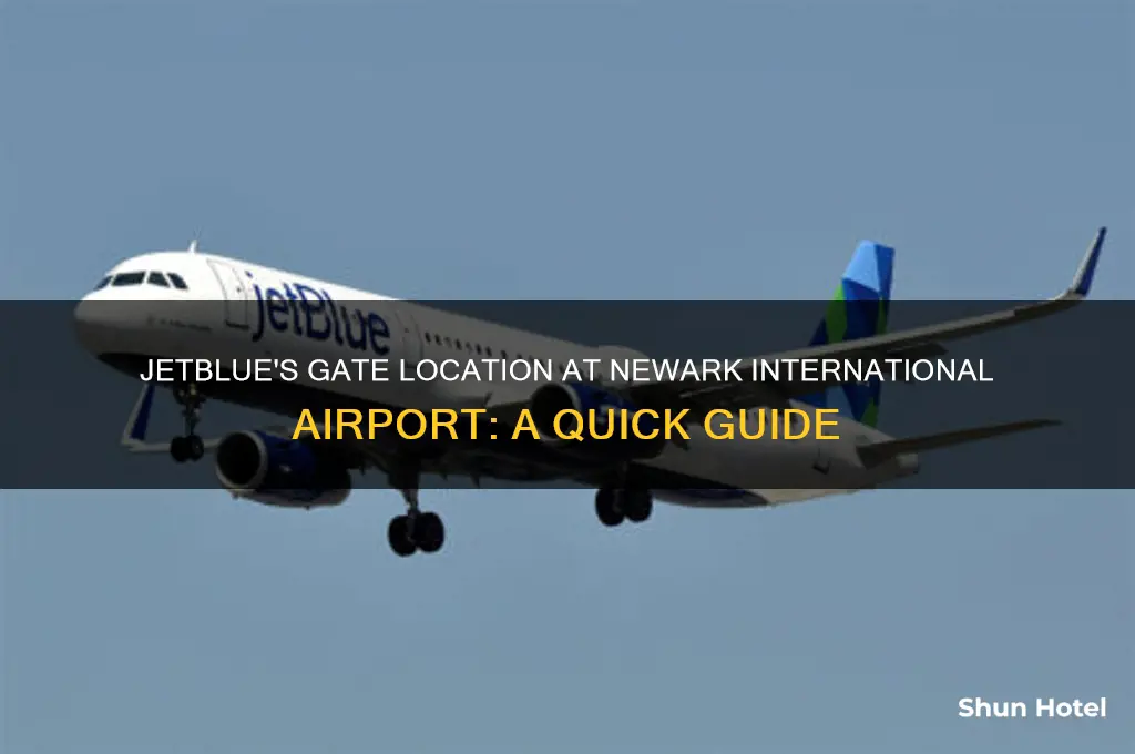 what gate is jetblue in newark international airport