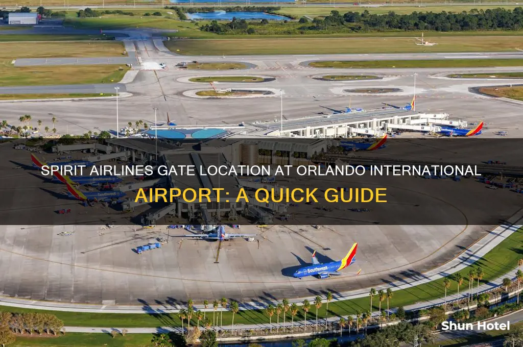 what gate is spirit airlines at orlando international airport