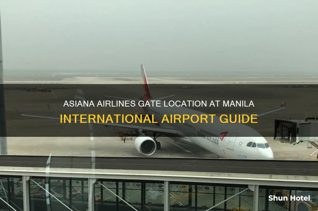 what gate is the asiana airlines in manila international airport