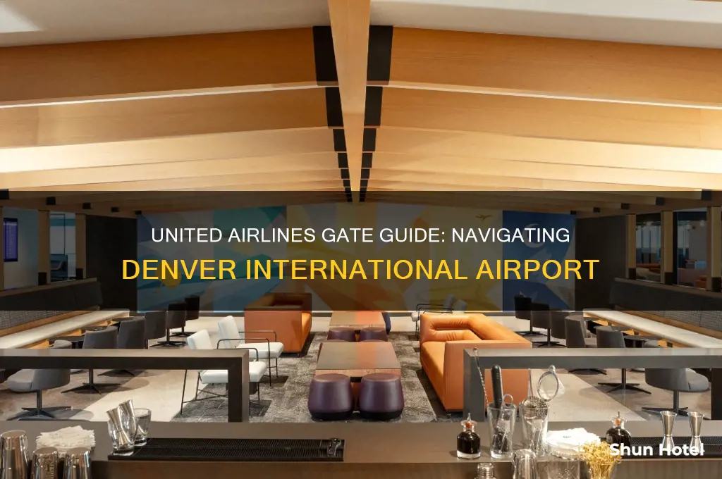 what gate is united airlines at denver international airport