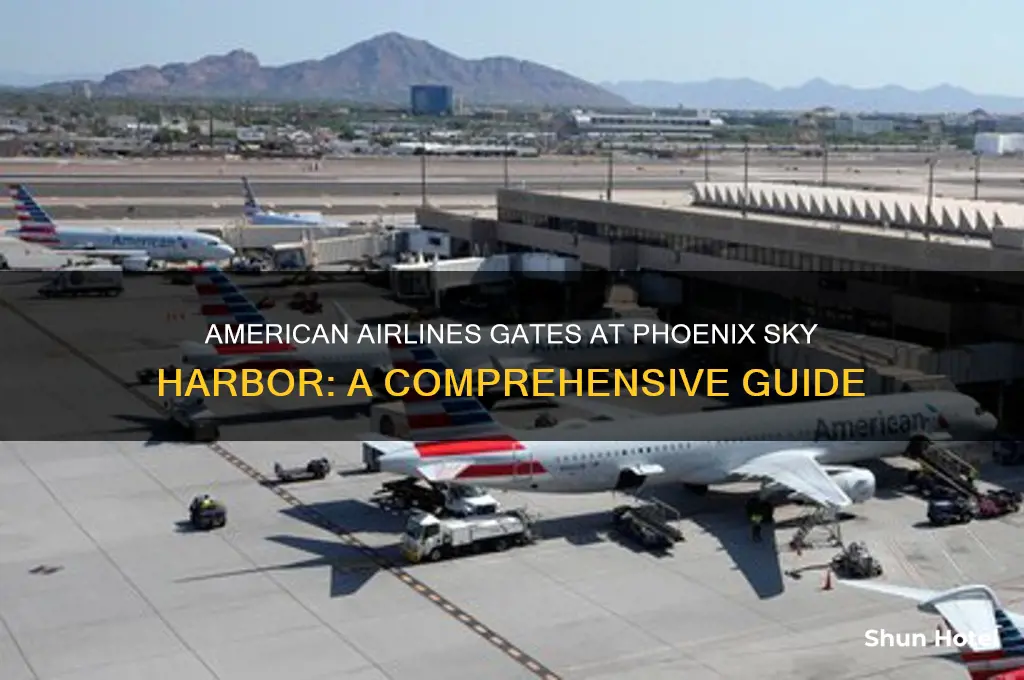 what gates do american airlines use at phoenix international airport