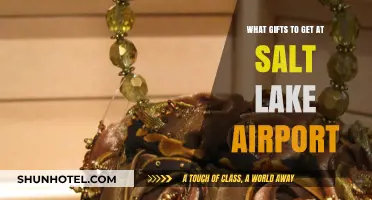 Perfect Last-Minute Gifts to Grab at Salt Lake Airport