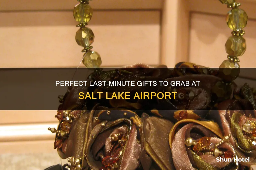 what gifts to get at salt lake airport