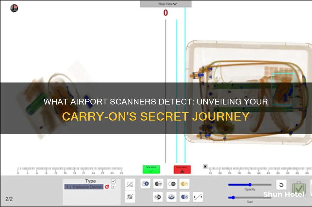 what goes through airport scanner when you fly