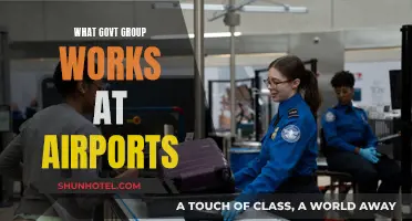 Airports: Who Monitors Security and Safety?