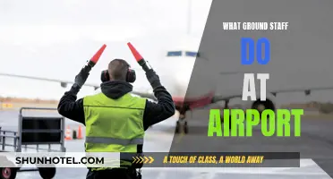 Ground Staff: Ensuring Smooth Airport Operations