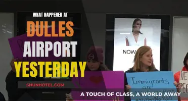 Yesterday's Chaos at Dulles Airport: A Recap