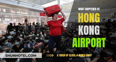 Hong Kong Airport: Chaos and Protests