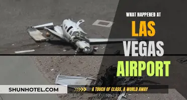Las Vegas Airport: Chaos and Confusion