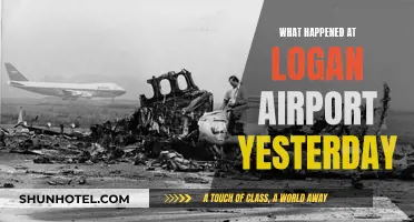 Yesterday's Chaos at Logan Airport