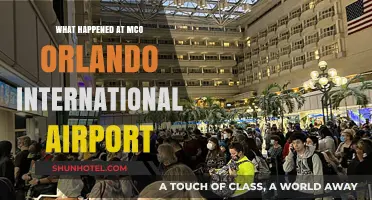 Chaos at MCO: Unraveling the Orlando International Airport Incident