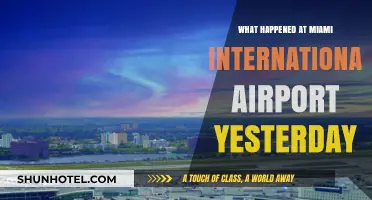 Chaos at Miami International Airport: Yesterday's Incident Explained