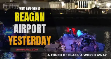 Yesterday's Chaos at Reagan Airport Explained