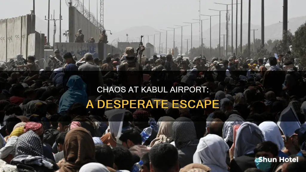 what happened at the afghanistan airport