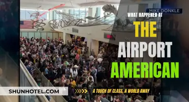 American Airlines: Airport Chaos and Turmoil