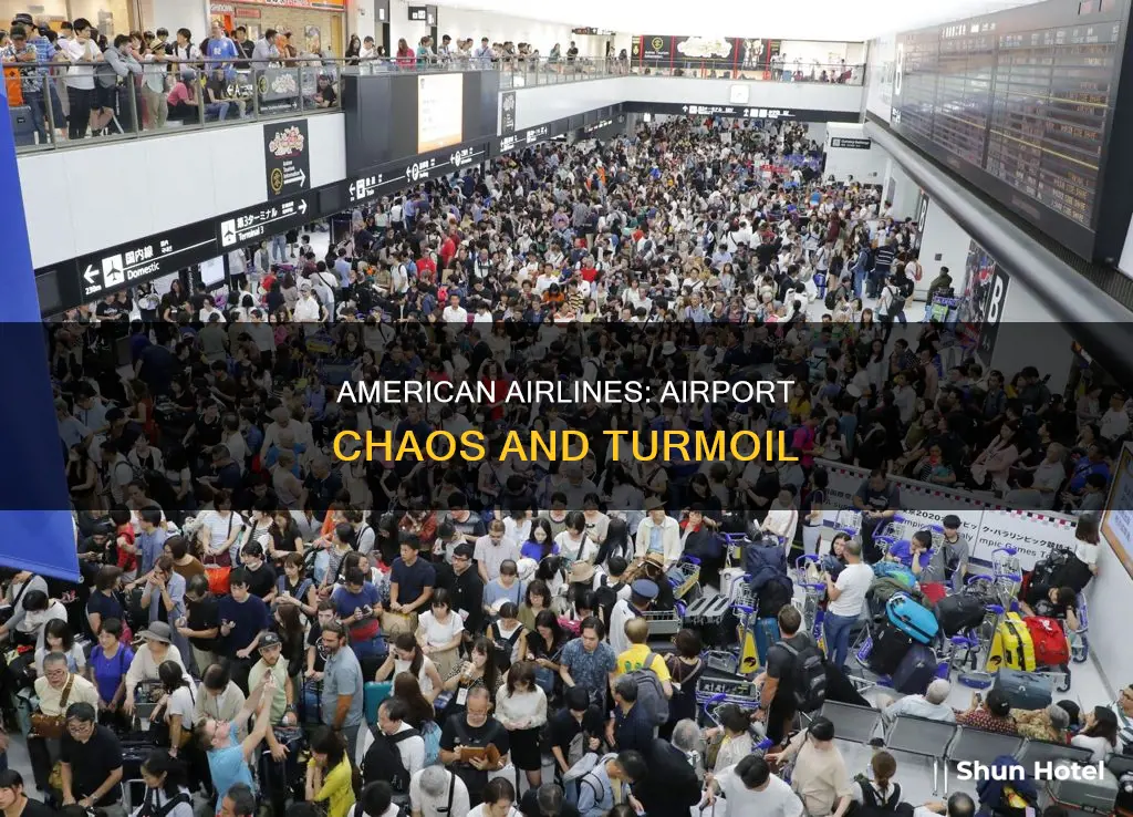 what happened at the airport american