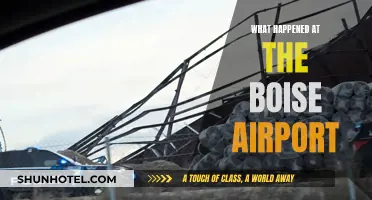 The Boise Airport Incident: Chaos and Confusion