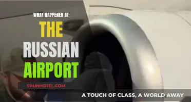 Russian Airport Chaos: A Detailed Account
