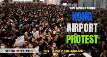 Hong Kong Airport: Protests Ground Flights