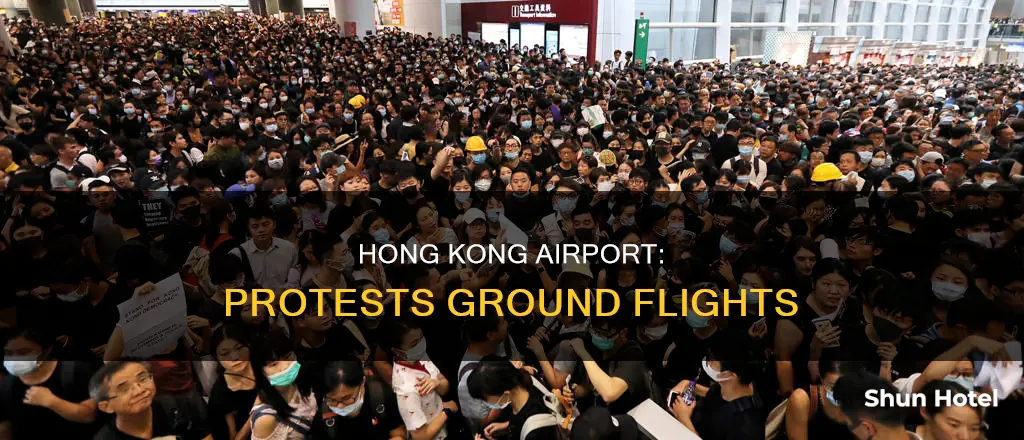 what happened athong kong airport protest