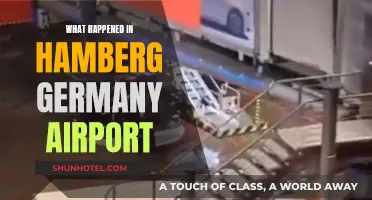 Hamburg Airport: Chaos and Confusion