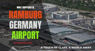 Hamburg Airport Incident: What Went Wrong?