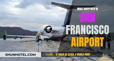 San Francisco Airport: A Chaotic Scene Unveiled