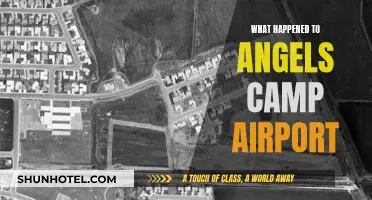 Angels Camp Airport: What's the Story?
