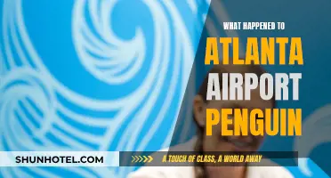 The Atlanta Airport Penguin Mystery: What Happened?