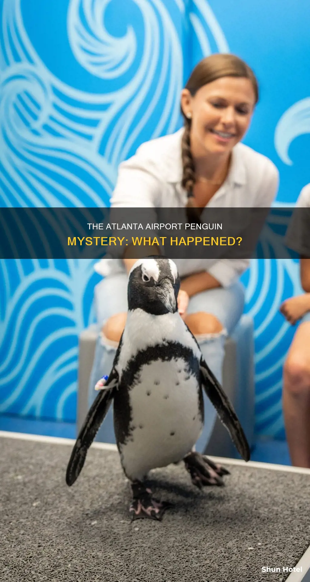 what happened to atlanta airport penguin