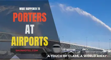 The Demise of Airport Porters: A Vanishing Trade