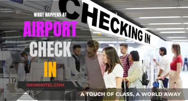 Airport Check-In: Steps and Security Essentials